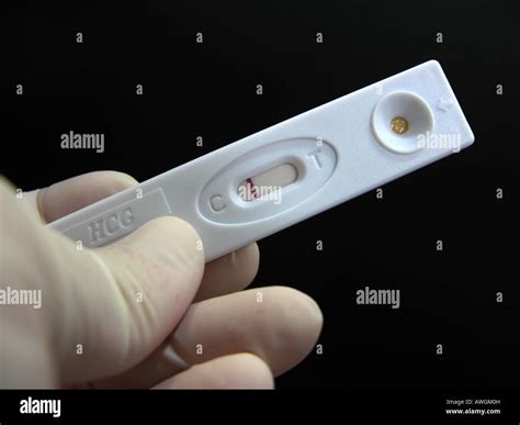 pregnancy test results negative